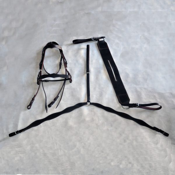 Juego de montura Beyco 2