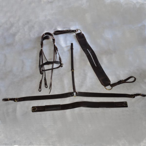 Juego de montura Ranger 2